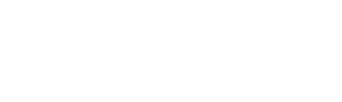 DS_White_Logo_full