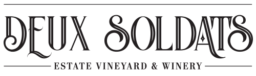 DS_White_Logo_full_black
