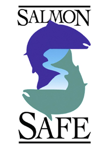 Salmon-logo